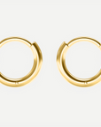 Small Hoop Earrings V.1